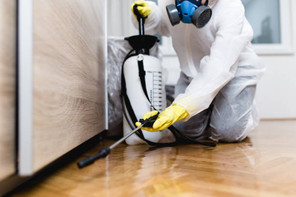 Best Flea Control Services  in Winton, CA