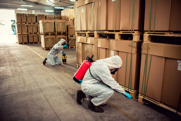 Wasp Removal Services in Winton, CA