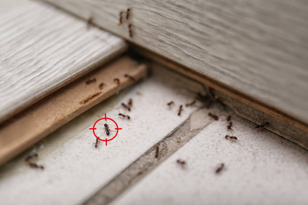 Best Wildlife Control Services  in Winton, CA