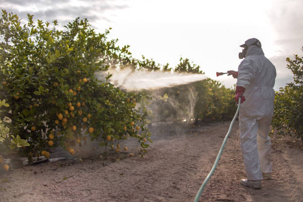 Best Mosquito Control Services  in Winton, CA