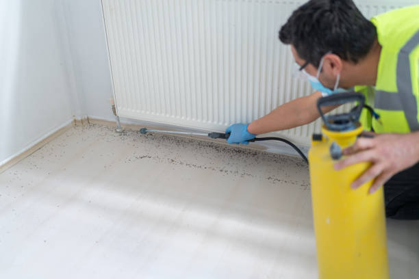 Best Termite Control Services  in Winton, CA